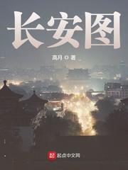長安圖小说封面