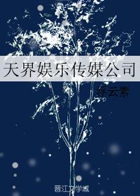 天界娛樂傳媒公司小说封面